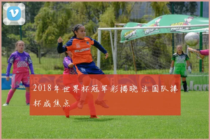 2018年世界杯冠军彩揭晓 法国队捧杯成焦点