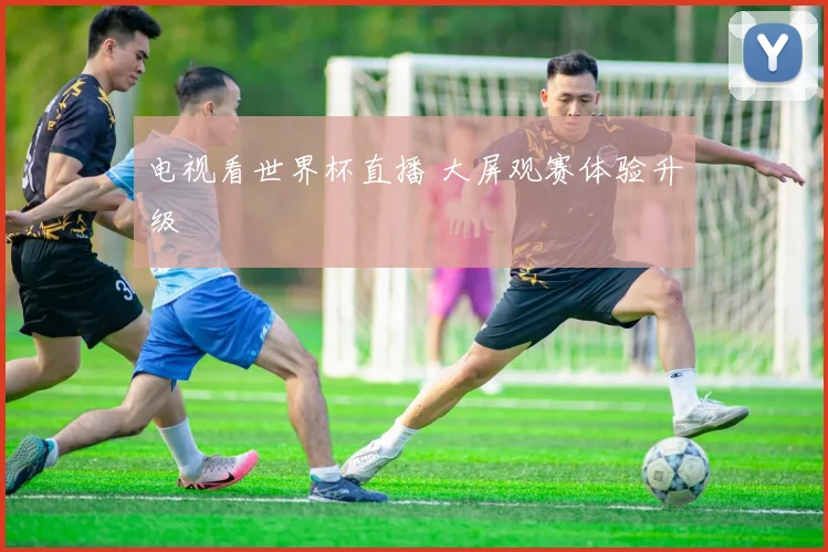 电视看世界杯直播 大屏观赛体验升级