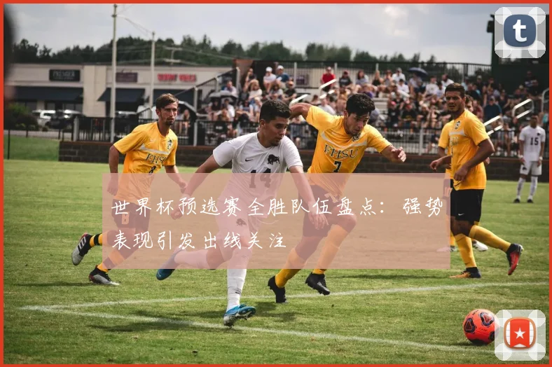 世界杯预选赛全胜队伍盘点:强势表现引发出线关注