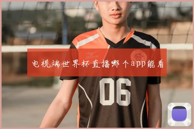 电视端世界杯直播哪个app能看