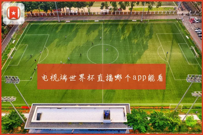 电视端世界杯直播哪个app能看