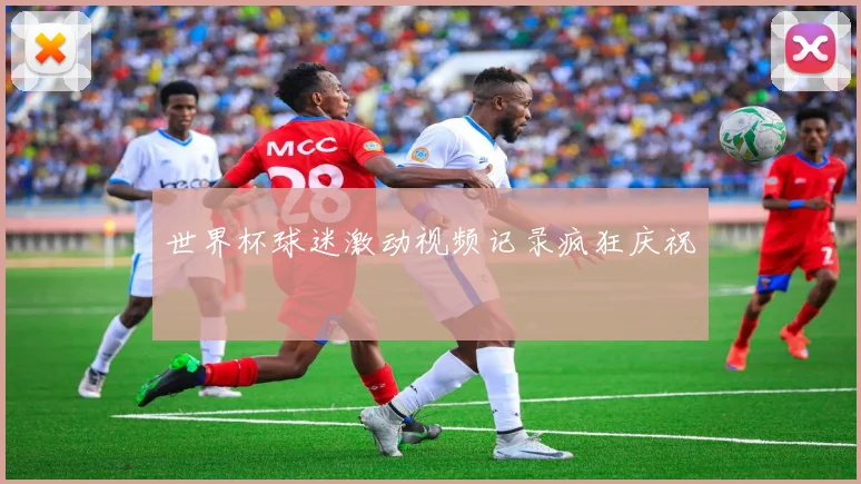 世界杯球迷激动视频记录疯狂庆祝