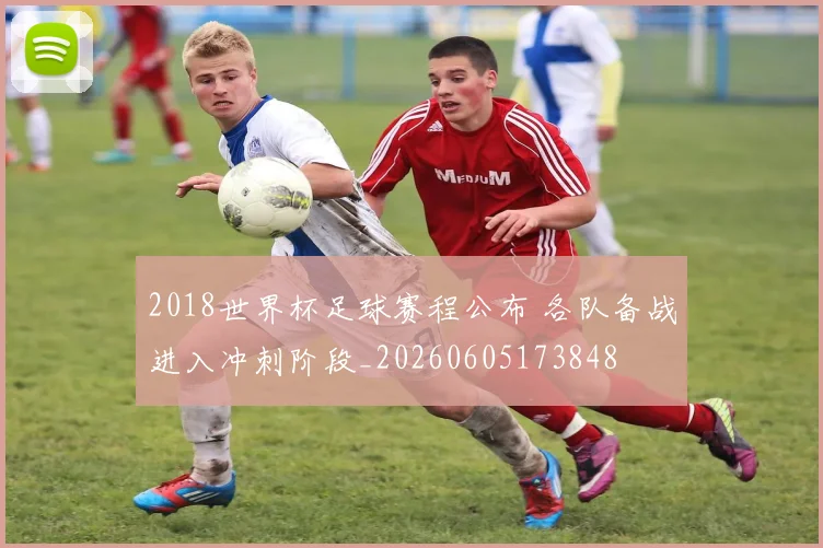 2018世界杯足球赛程公布 各队备战进入冲刺阶段_20260605173848