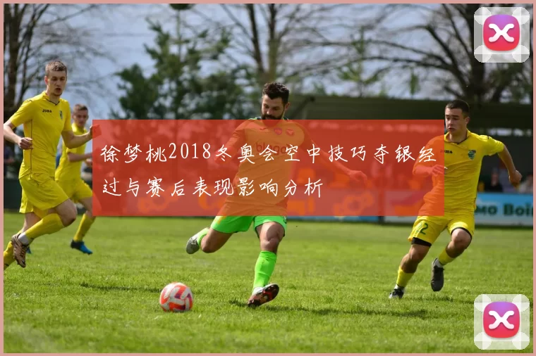 徐梦桃2018冬奥会空中技巧夺银经过与赛后表现影响分析