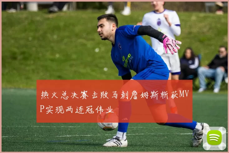 热火总决赛击败马刺詹姆斯斩获MVP实现两连冠伟业