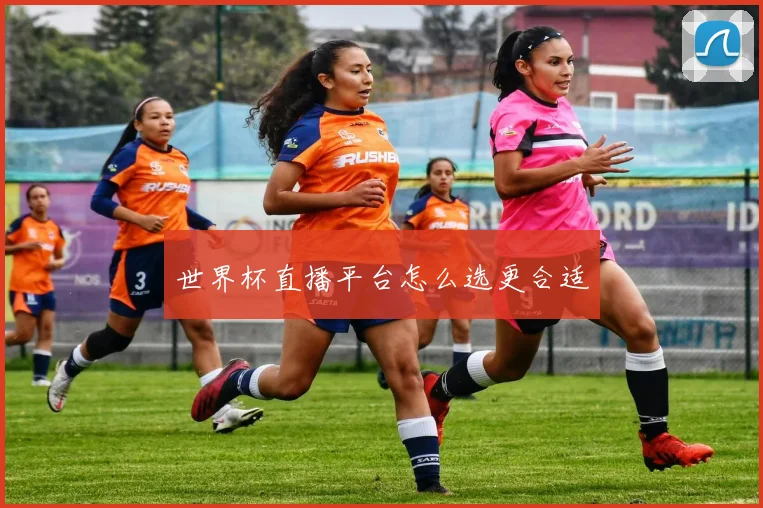 世界杯直播平台怎么选更合适