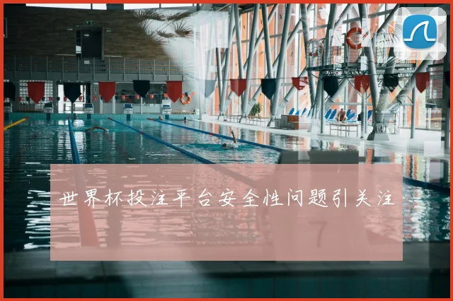 世界杯投注平台安全性问题引关注