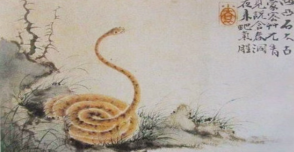 大林木土蛇五行缺火的女命，容易出现妇科疾病