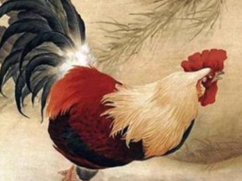 1993年农历十二月出生鸡命最苦人生的生肖