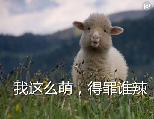 属羊的属相最配、兔、马、猪的生肖婚配