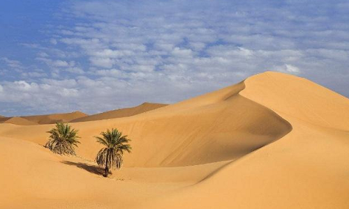 沙中土命和什么命最配的生肖有哪些