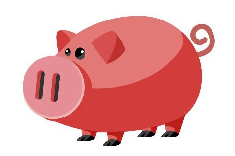 风水堂:初一出生的属猪的人命运解析