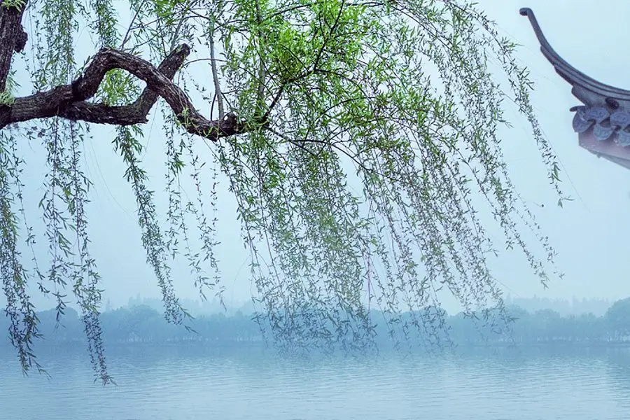 杨柳木命和泉中水命是合适的一对吗？